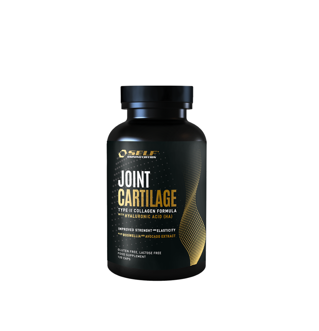 Joint Cartilage