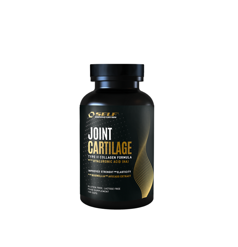 Joint Cartilage