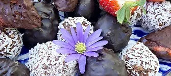 Dadelbollar med Protein