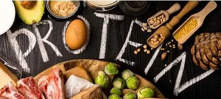 Protein - Allt du behöver veta om proteiner