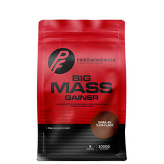 Big Mass Gainer, 1000 g