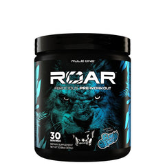R1 Roar Electrolyte PWO 300 g