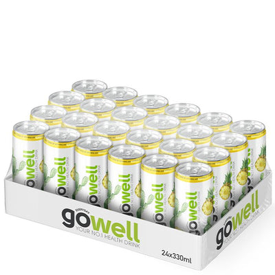 1 x GoWell Funktionsdryck Flak 33 cl