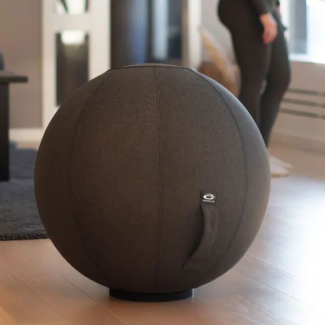 Abilica Överdrag till pilatesboll 65 cm
