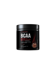 Bcaa 8:1:1