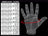 C.P Sports Wrist Wrap Gloves