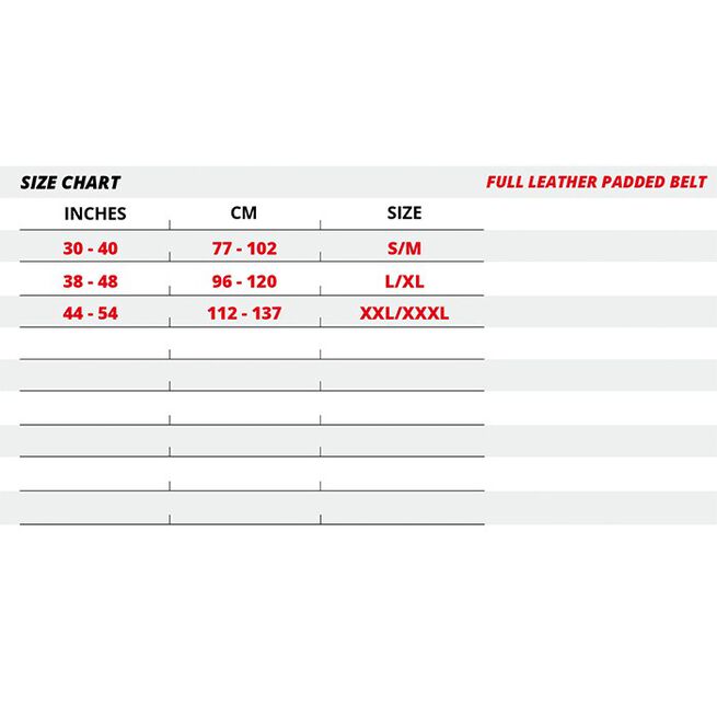 Gorilla Wear Gear 6 Inch Vadderat Lyftarbälte Läder Svart/Guld