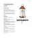 Holistic Klordioxid, 250 ml