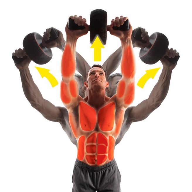 Iron Gym Speed Ab Roller Maghjul
