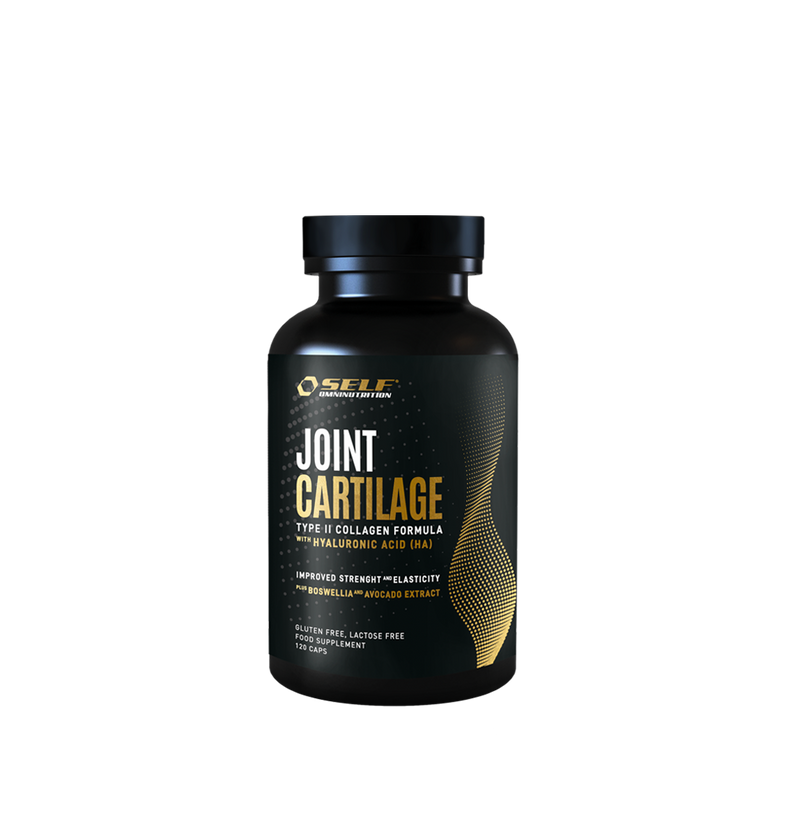Self Joint Cartilage