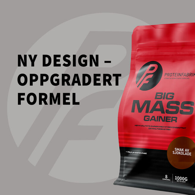 Proteinfabrikken Big Mass Gainer, 1000 g Jordbaer