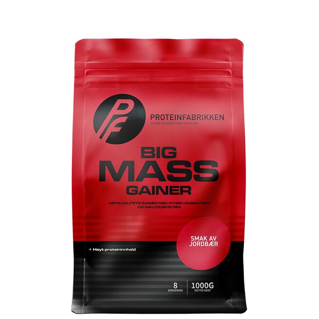 Proteinfabrikken Big Mass Gainer, 1000 g