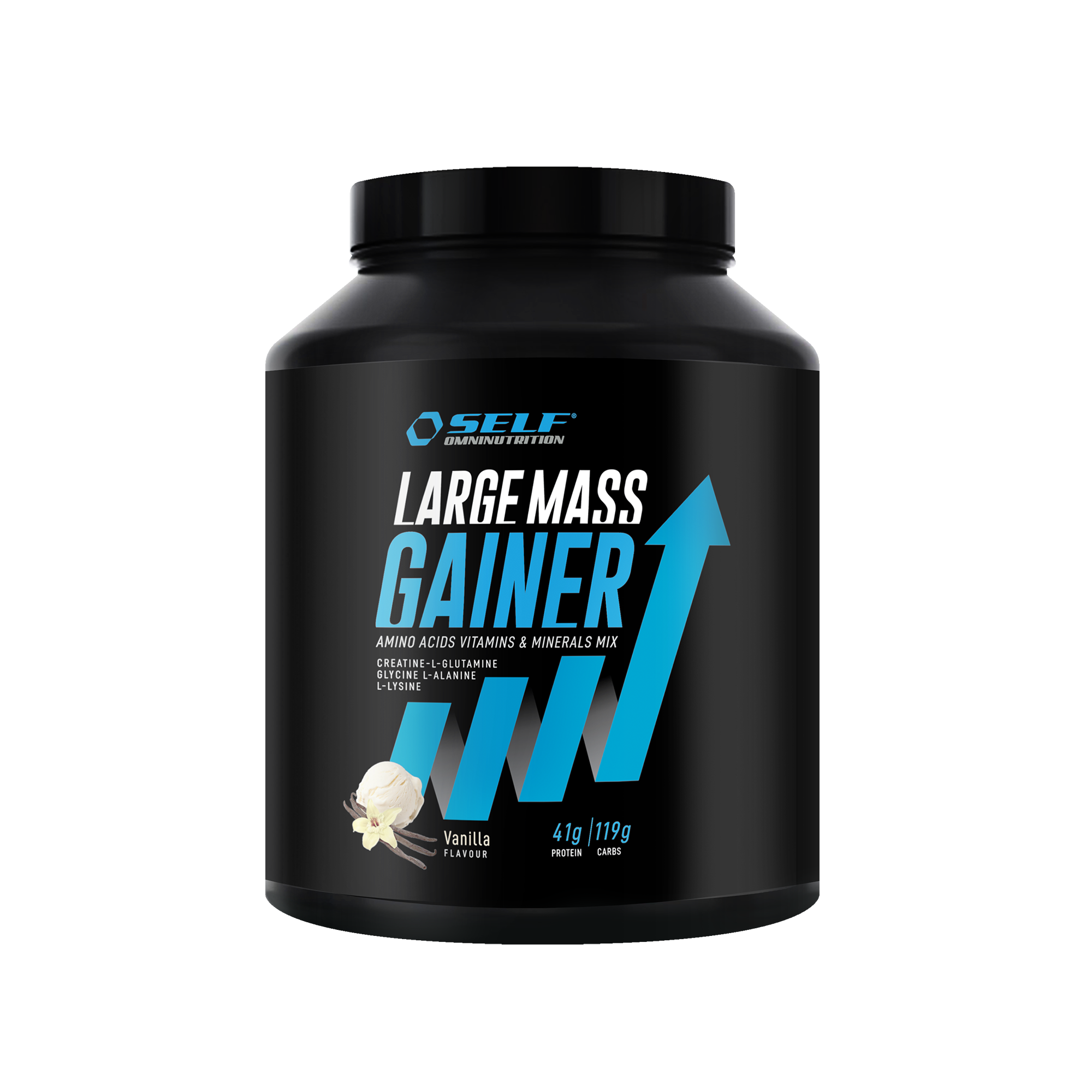 SELF Large Mass Gainer - 2kg