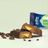 Star Nutrition 12 x Proteinbar 55 g