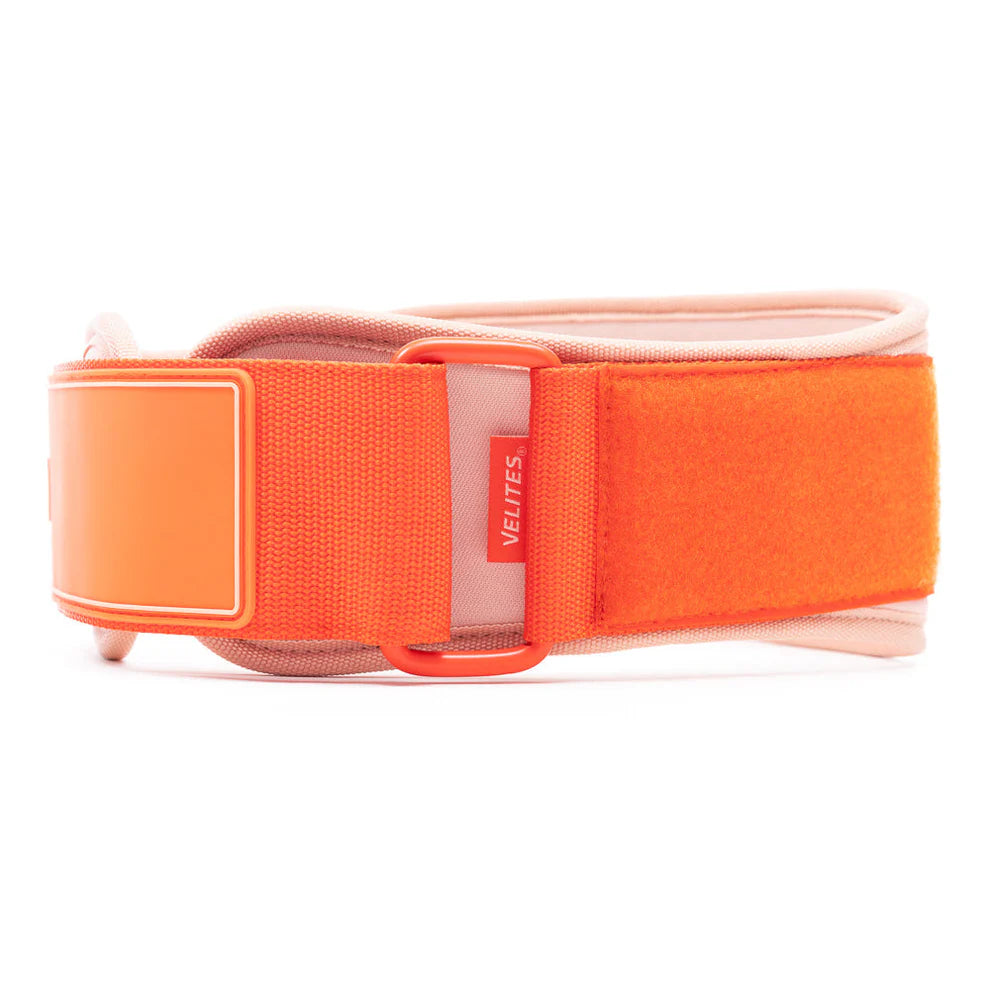 Velites Velites - Lifting belt Orange