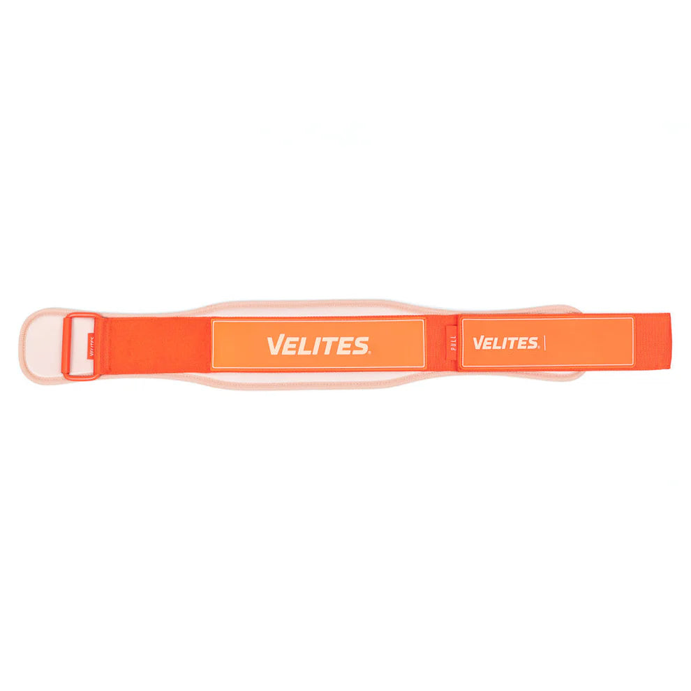 Velites Velites - Lifting belt Orange