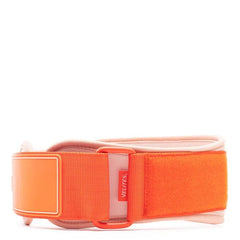 Velites Velites Lyftarbälte Orange