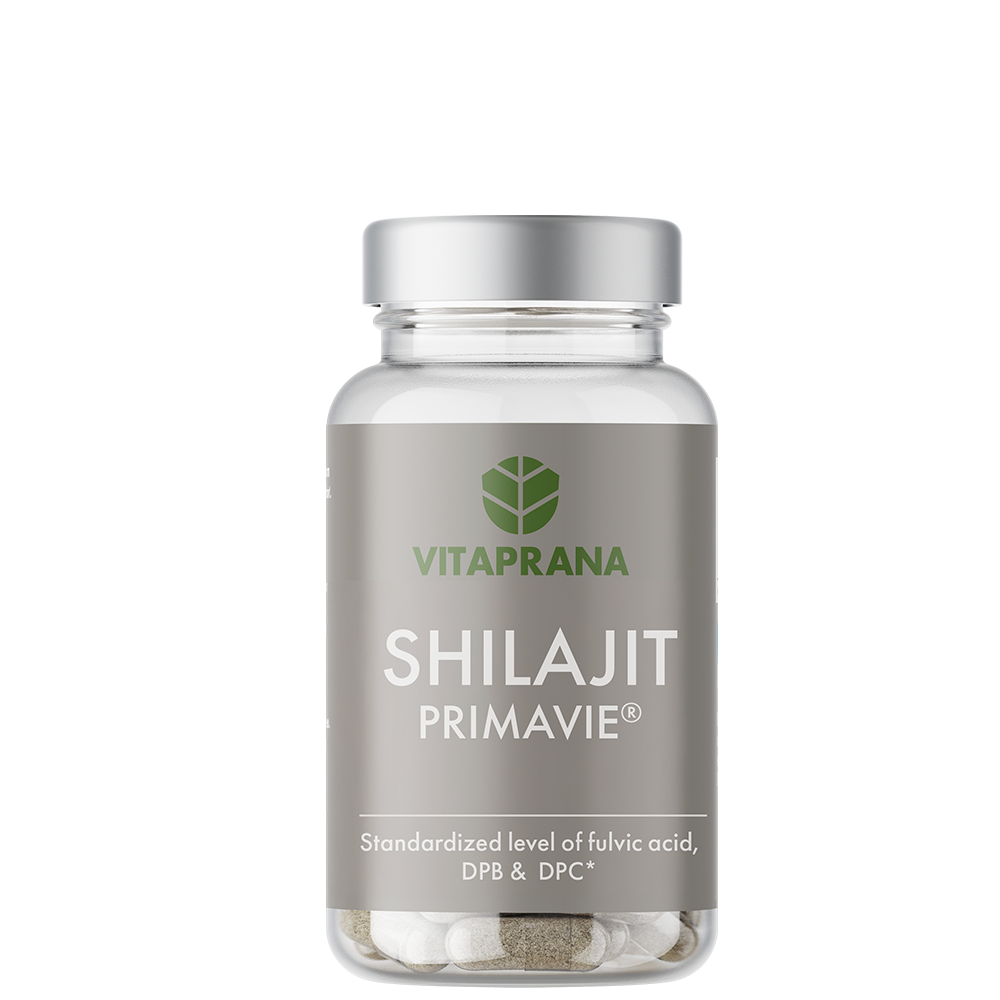 Vitaprana Shilajit 80 kapslar