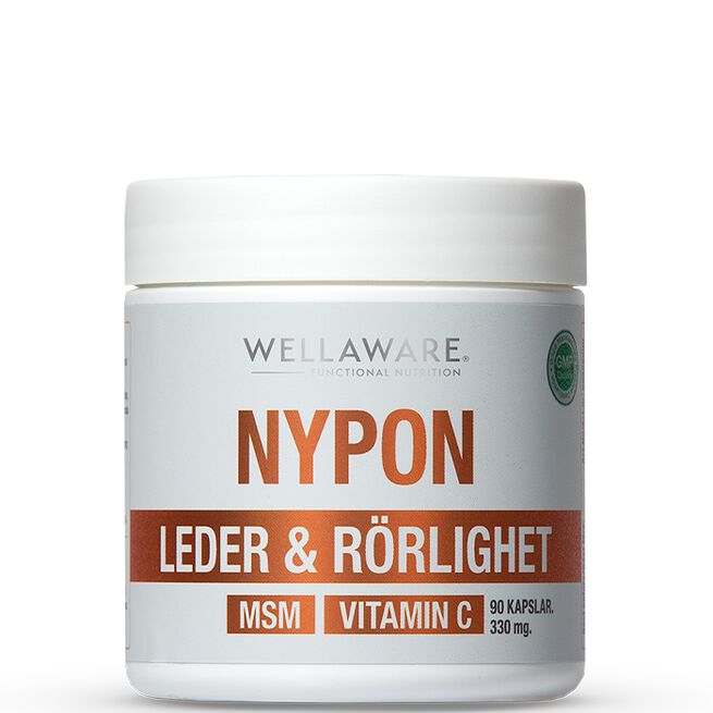 WellAware Nypon MSM Vitamin C 90 Kapslar